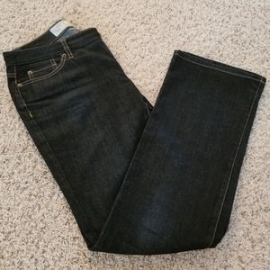Ann Taylor Loft - Curvy Boot Jeans